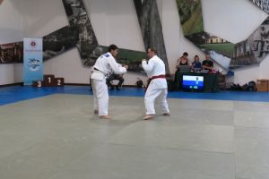 IMG 0586 1024x